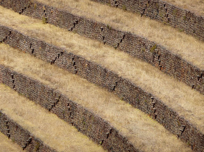 terraced farming