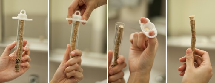 miswak toothbrush