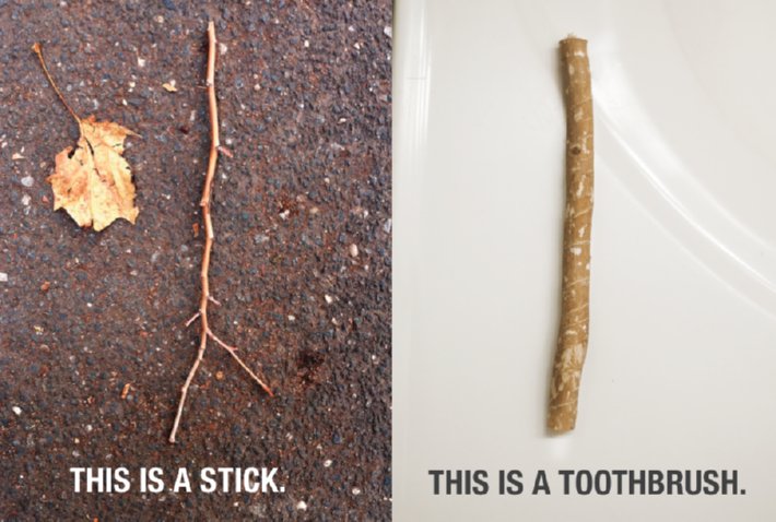 toothbrush stick