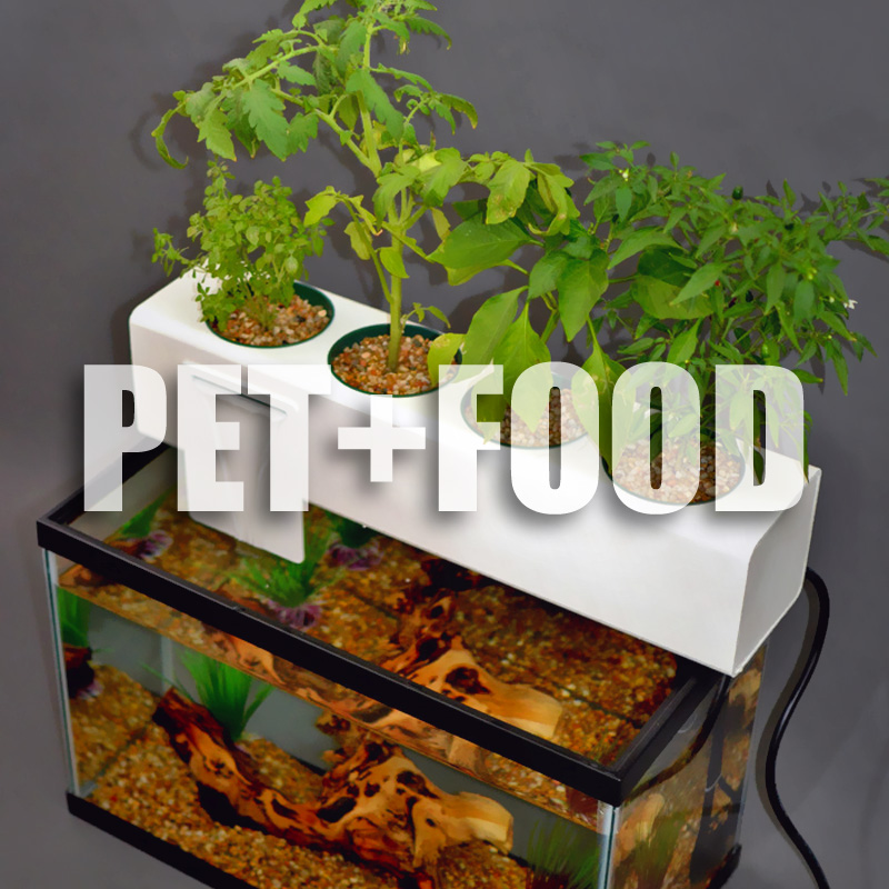 Blue Green Box Helps Turn Your Aquarium into a Hydroponic ...