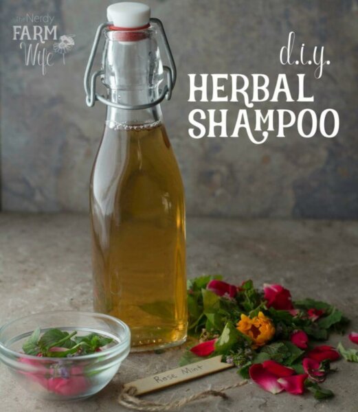 diy herbal shampoo