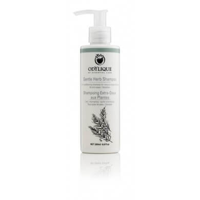 odylique gentle herb shampoo