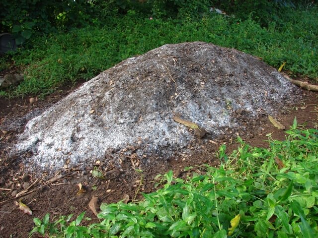 Indigenous Microorganisms (IMO) • Insteading